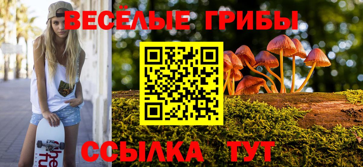 Галлюциногенные грибы мухоморы Вышний Волочёк